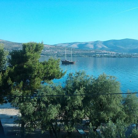 Apartment Nikica Trogir Dış mekan fotoğraf